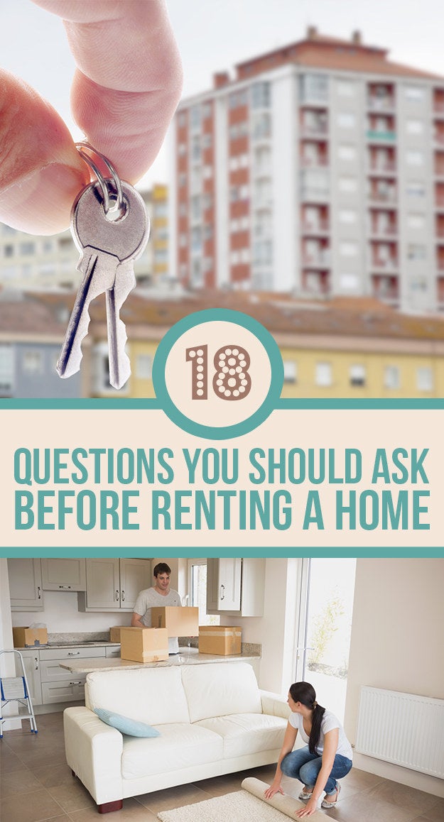 Rental  Every Little Thing You Need To Know